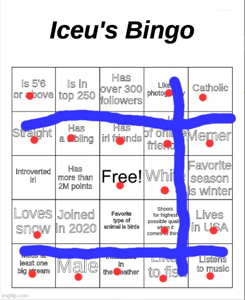 Iceu's Bingo | image tagged in iceu's bingo | made w/ Imgflip meme maker