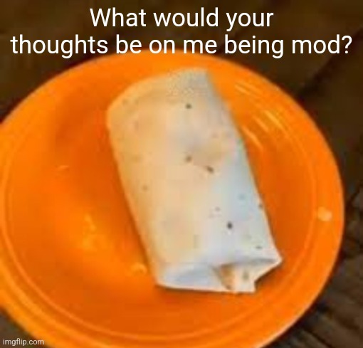 JimmyHere Burrito | What would your thoughts be on me being mod? | image tagged in jimmyhere burrito | made w/ Imgflip meme maker