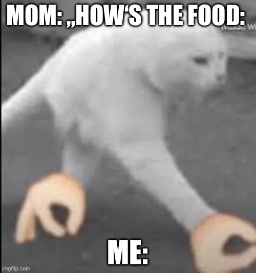 my answer is always in sign language | MOM: „HOW‘S THE FOOD:; ME: | image tagged in meme,funny,cursed,cat,relatable | made w/ Imgflip meme maker