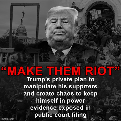 MAKE THEM RIOT | image tagged in donald trump,2020,riot,january,6th,chaos | made w/ Imgflip meme maker