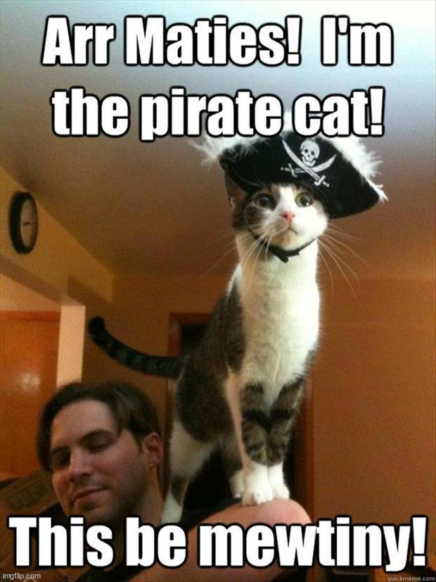 Pirate | image tagged in eyeroll | made w/ Imgflip meme maker