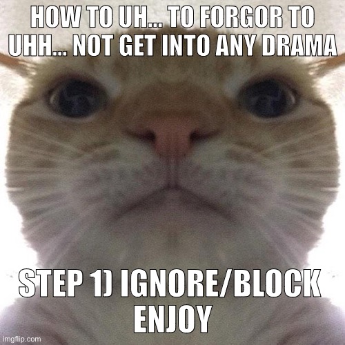 Cat wisdom | HOW TO UH… TO FORGOR TO UHH… NOT GET INTO ANY DRAMA; STEP 1) IGNORE/BLOCK 
ENJOY | image tagged in staring cat/gusic | made w/ Imgflip meme maker