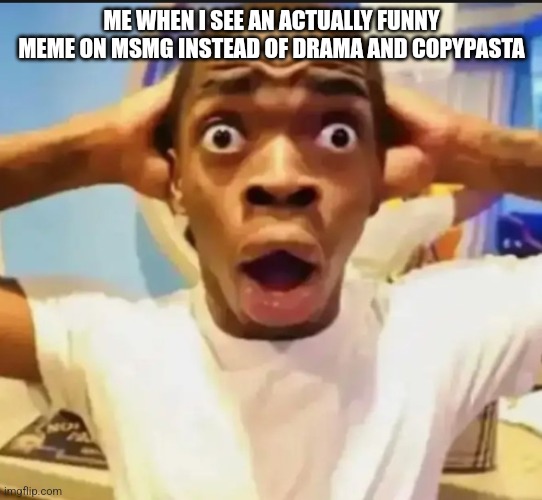 Surprised Black Guy | ME WHEN I SEE AN ACTUALLY FUNNY MEME ON MSMG INSTEAD OF DRAMA AND COPYPASTA | image tagged in surprised black guy | made w/ Imgflip meme maker