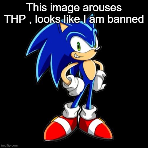 You're Too Slow Sonic | This image arouses THP , looks like I am banned | image tagged in memes,you're too slow sonic | made w/ Imgflip meme maker