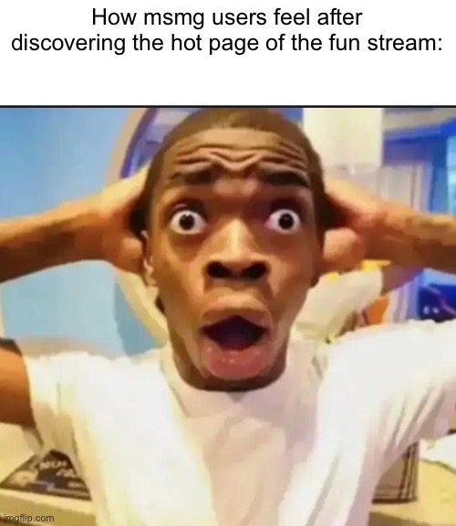 Surprised Black Guy | How msmg users feel after discovering the hot page of the fun stream: | image tagged in surprised black guy | made w/ Imgflip meme maker