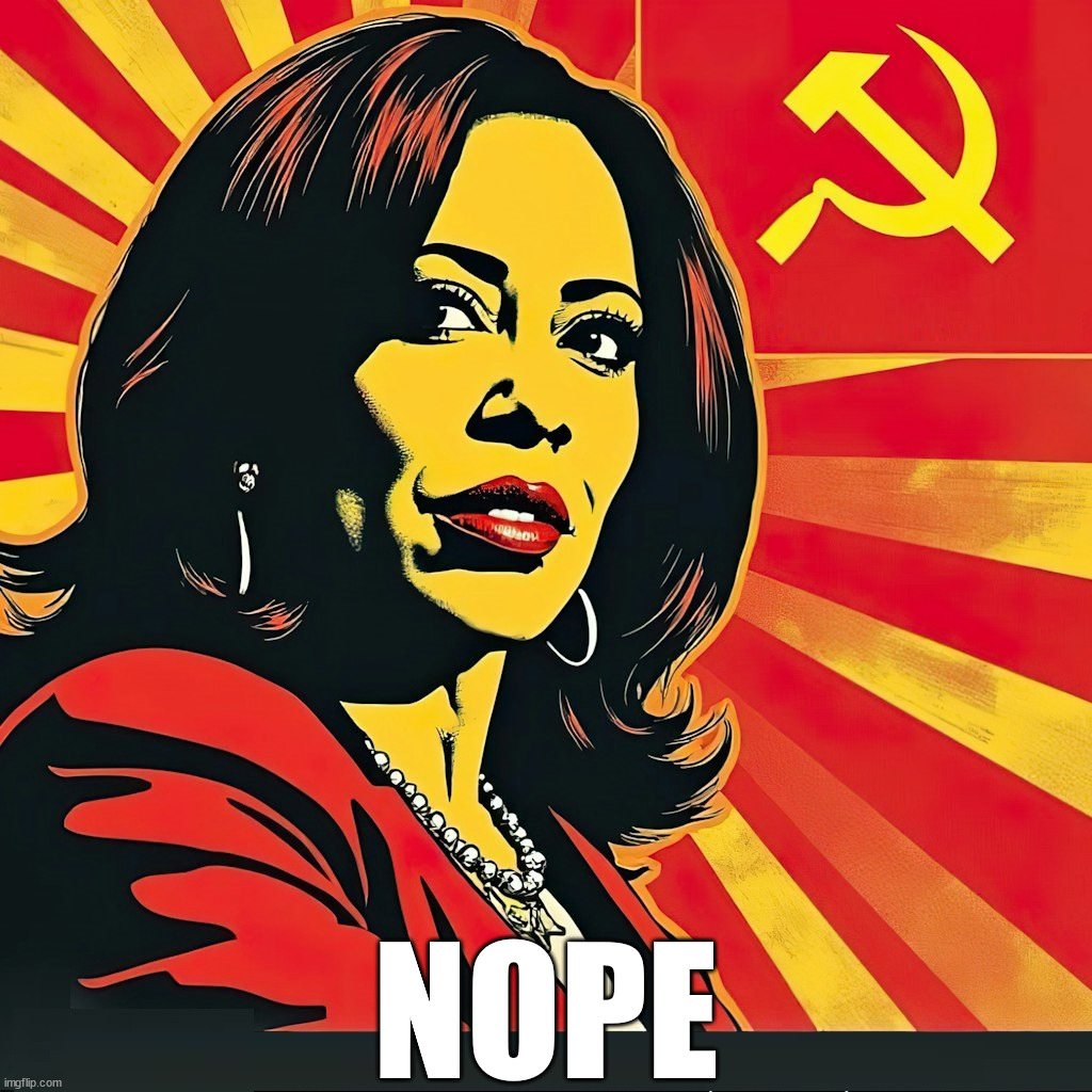 Instead of HOPE we got NOPE | NOPE | image tagged in kamala harris | made w/ Imgflip meme maker