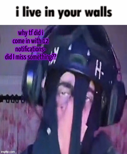 SAK reaction ig 2 | why tf did i come in with 12 notifications-
did I miss something?? | image tagged in sak reaction ig 2 | made w/ Imgflip meme maker