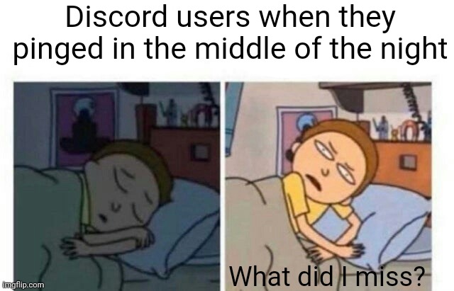 Discord wakes you up | Discord users when they pinged in the middle of the night; What did I miss? | image tagged in morty waking up | made w/ Imgflip meme maker