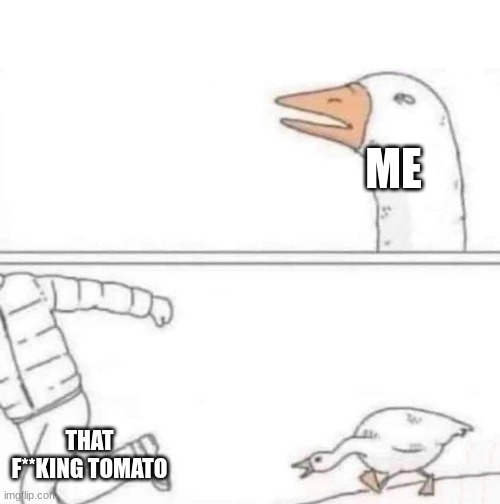 Goose Chase | ME THAT F**KING TOMATO | image tagged in goose chase | made w/ Imgflip meme maker