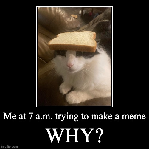 why meme | Me at 7 a.m. trying to make a meme | WHY? | image tagged in funny,demotivationals | made w/ Imgflip demotivational maker