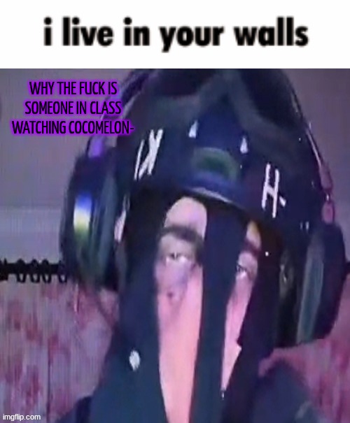 SAK reaction ig 2 | WHY THE FUCK IS SOMEONE IN CLASS WATCHING COCOMELON- | image tagged in sak reaction ig 2 | made w/ Imgflip meme maker