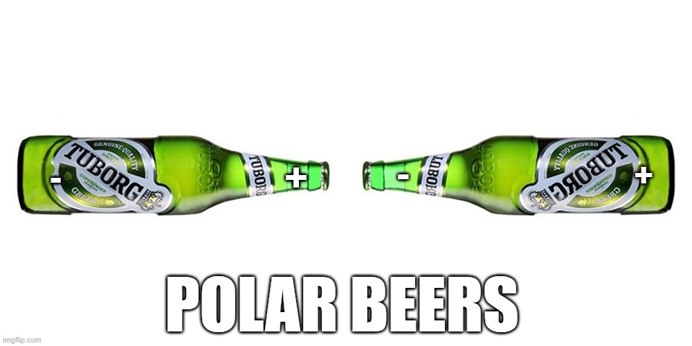 -; -; +; +; POLAR BEERS | image tagged in beer | made w/ Imgflip meme maker