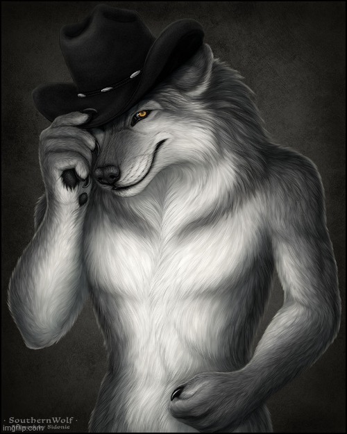 Alpha Fedora Wolf | image tagged in alpha fedora wolf | made w/ Imgflip meme maker