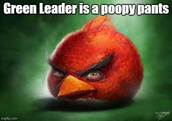 Realistic Red Angry Birds | Green Leader is a poopy pants | image tagged in realistic red angry birds | made w/ Imgflip meme maker