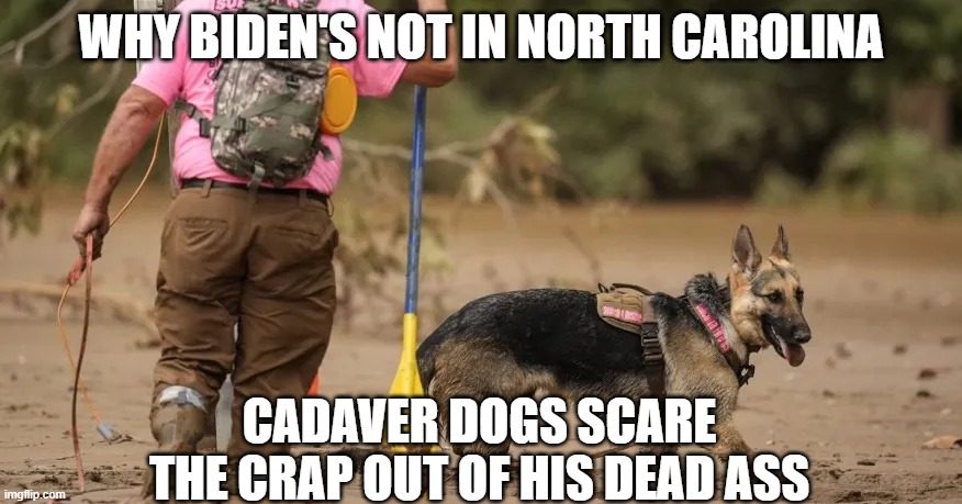 Why Biden's not in North Carolina | WHY BIDEN'S NOT IN NORTH CAROLINA; CADAVER DOGS SCARE THE CRAP OUT OF HIS DEAD ASS | image tagged in why biden's not in north carolina | made w/ Imgflip meme maker