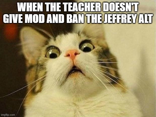 MSMGrot | WHEN THE TEACHER DOESN'T GIVE MOD AND BAN THE JEFFREY ALT | image tagged in memes,scared cat | made w/ Imgflip meme maker