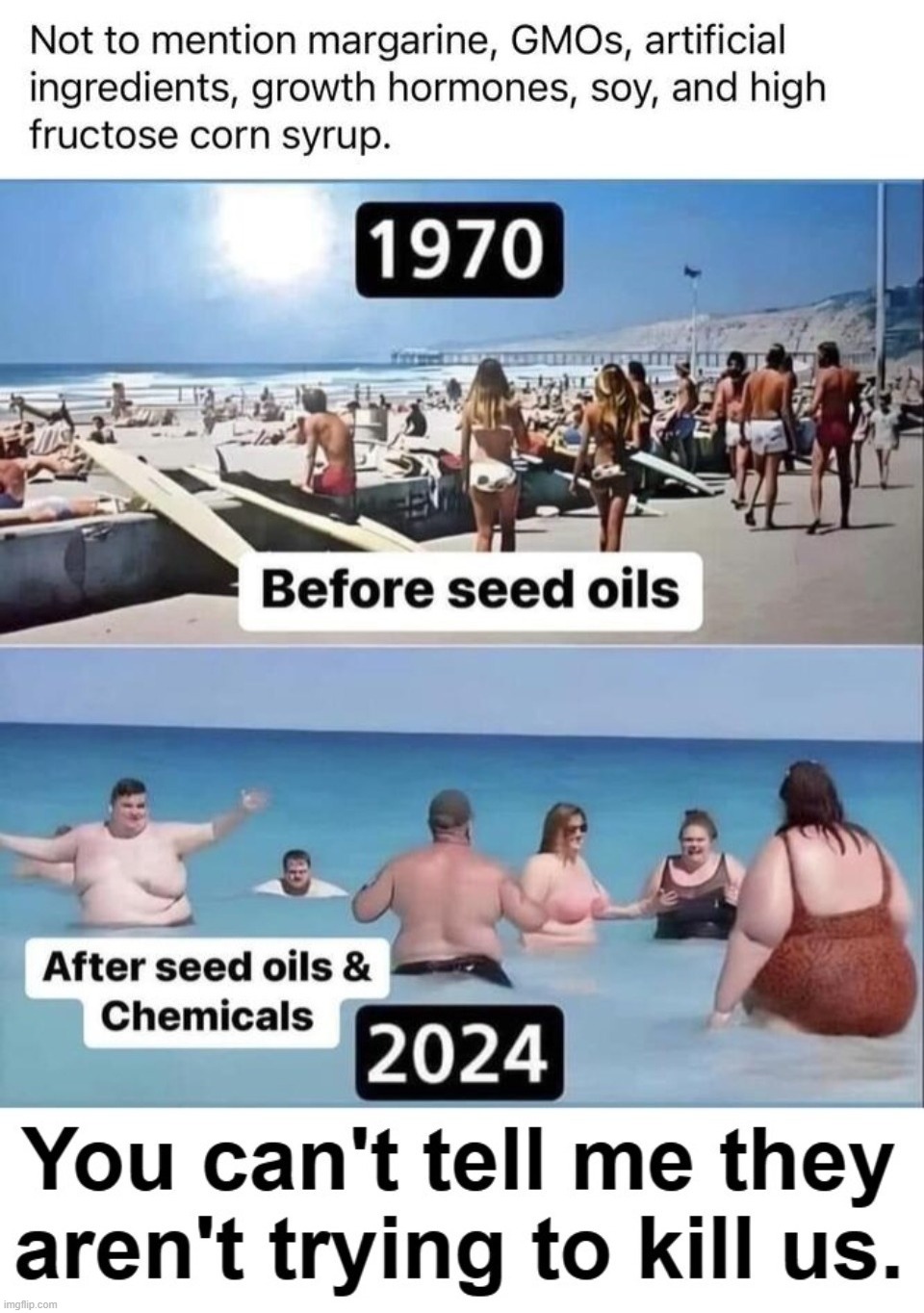 Appropriately named the SAD Diet | image tagged in standard american diet,sad,obesity,natural health,big pharma,fda | made w/ Imgflip meme maker