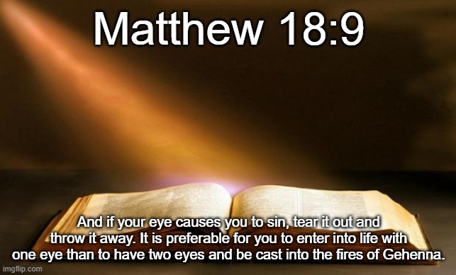 Bible  | Matthew 18:9; And if your eye causes you to sin, tear it out and throw it away. It is preferable for you to enter into life with one eye than to have two eyes and be cast into the fires of Gehenna. | image tagged in bible | made w/ Imgflip meme maker