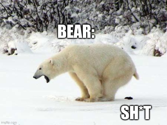 Polar Bear Shits in the Snow | BEAR:; SH*T | image tagged in polar bear shits in the snow | made w/ Imgflip meme maker