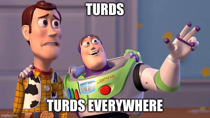 Idiots everywhere | TURDS; TURDS EVERYWHERE | image tagged in idiots everywhere | made w/ Imgflip meme maker