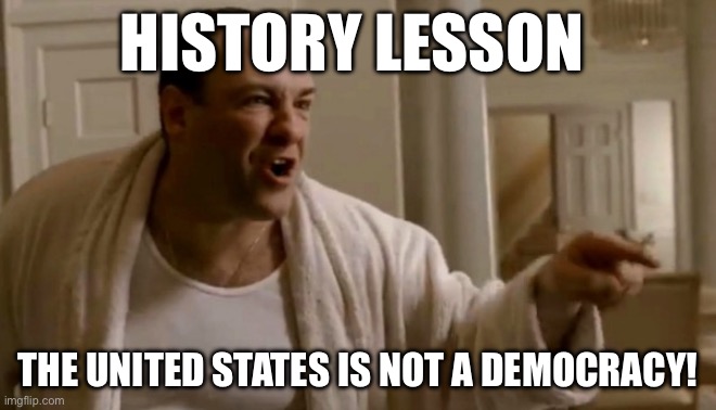 History | HISTORY LESSON; THE UNITED STATES IS NOT A DEMOCRACY! | image tagged in tony soprano in this house | made w/ Imgflip meme maker