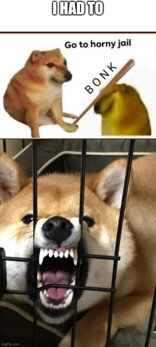 I HAD TO | image tagged in go to horny jail,locked in horny jail | made w/ Imgflip meme maker