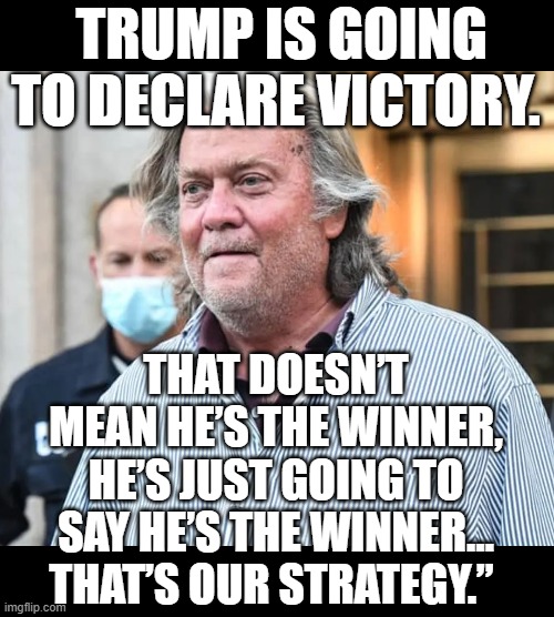 MAGAts should read the filing, but won't | TRUMP IS GOING TO DECLARE VICTORY. THAT DOESN’T MEAN HE’S THE WINNER, HE’S JUST GOING TO SAY HE’S THE WINNER…
THAT’S OUR STRATEGY.” | image tagged in steve bannon,liar,trump,losers,2024,2020 | made w/ Imgflip meme maker