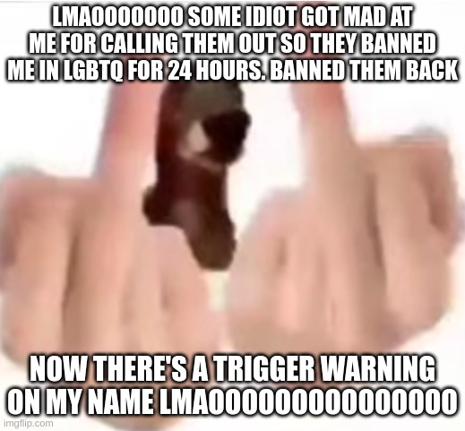 fuck you | LMAOOOOOOO SOME IDIOT GOT MAD AT ME FOR CALLING THEM OUT SO THEY BANNED ME IN LGBTQ FOR 24 HOURS. BANNED THEM BACK; NOW THERE'S A TRIGGER WARNING ON MY NAME LMAOOOOOOOOOOOOOOO | image tagged in fuck you | made w/ Imgflip meme maker
