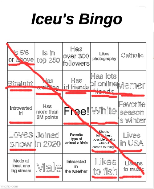 How'd I do? | image tagged in iceu's bingo | made w/ Imgflip meme maker