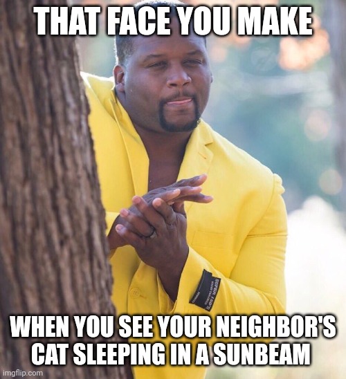 When you know, you know. | THAT FACE YOU MAKE; WHEN YOU SEE YOUR NEIGHBOR'S CAT SLEEPING IN A SUNBEAM | image tagged in black guy hiding behind tree,haiti | made w/ Imgflip meme maker