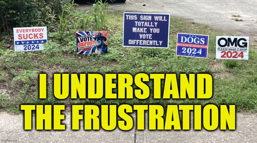 I understand the frustration | I UNDERSTAND 
THE FRUSTRATION | image tagged in election | made w/ Imgflip meme maker