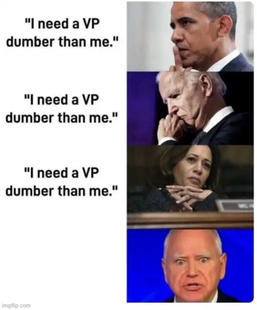 Dumb Democrats Blank Meme Template