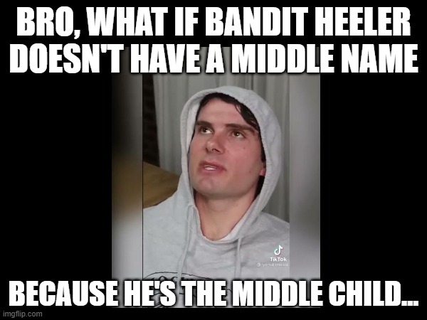 Could be true... although from what I've seen, Rad and Stripe don't have middle names either... *shrug* lol | BRO, WHAT IF BANDIT HEELER DOESN'T HAVE A MIDDLE NAME; BECAUSE HE'S THE MIDDLE CHILD... | image tagged in tv shows,bluey,shower thoughts | made w/ Imgflip meme maker