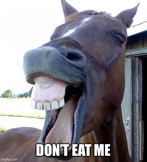 Funny Horse Face | DON’T EAT ME | image tagged in funny horse face | made w/ Imgflip meme maker