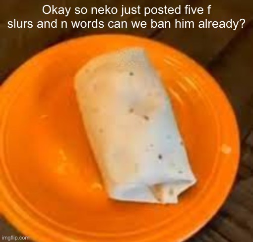 JimmyHere Burrito | Okay so neko just posted five f slurs and n words can we ban him already? | image tagged in jimmyhere burrito | made w/ Imgflip meme maker