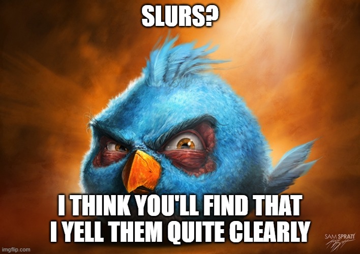 angry birds blue | SLURS? I THINK YOU'LL FIND THAT I YELL THEM QUITE CLEARLY | image tagged in angry birds blue | made w/ Imgflip meme maker