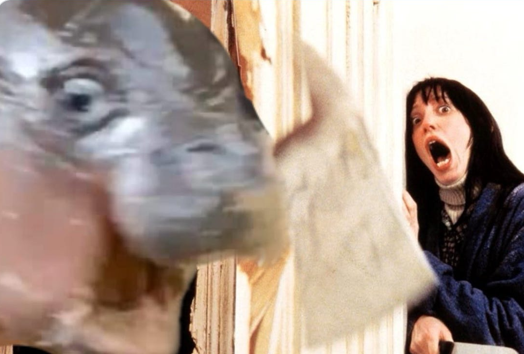 Moo Dang Shinning Blank Meme Template