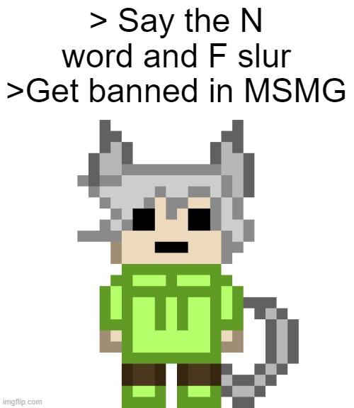 More specifically  I posted the TCK screenshot | > Say the N word and F slur
>Get banned in MSMG | image tagged in neko png | made w/ Imgflip meme maker