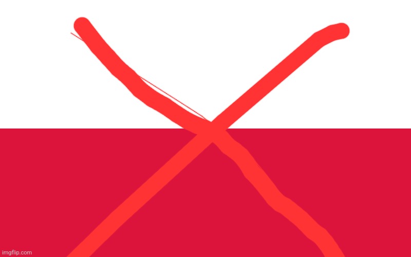 I hate poland | image tagged in poland flag | made w/ Imgflip meme maker