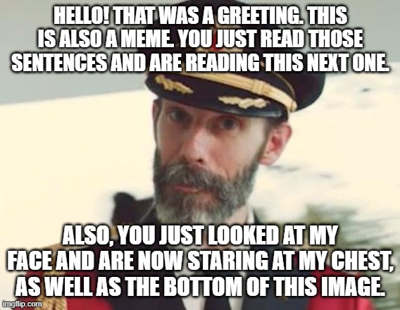 This is a title. It contains letters, spaces, and punctuation. | HELLO! THAT WAS A GREETING. THIS IS ALSO A MEME. YOU JUST READ THOSE SENTENCES AND ARE READING THIS NEXT ONE. ALSO, YOU JUST LOOKED AT MY FACE AND ARE NOW STARING AT MY CHEST, AS WELL AS THE BOTTOM OF THIS IMAGE. | image tagged in memes,captain obvious,this is a tag,what's going on,why are you reading this,funny | made w/ Imgflip meme maker