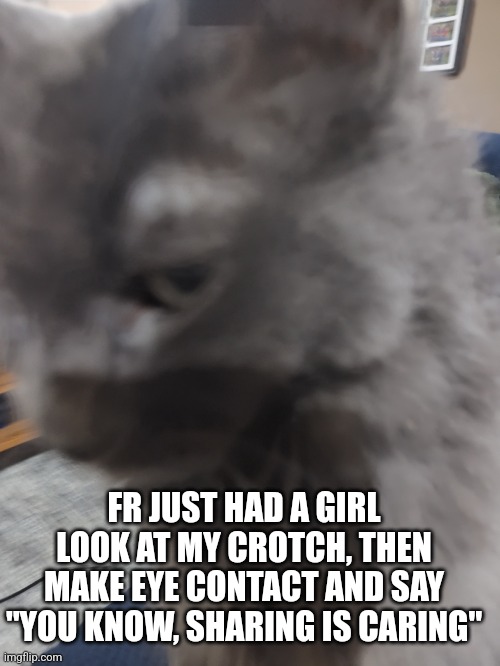 32's Cat | FR JUST HAD A GIRL LOOK AT MY CROTCH, THEN MAKE EYE CONTACT AND SAY "YOU KNOW, SHARING IS CARING" | image tagged in 32's cat | made w/ Imgflip meme maker