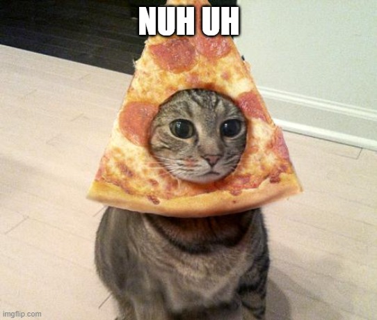 pizza cat | NUH UH | image tagged in pizza cat | made w/ Imgflip meme maker