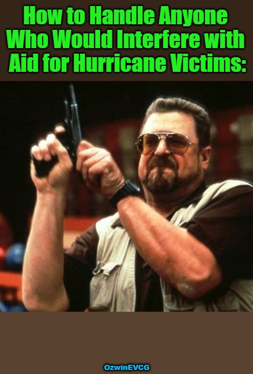 Multiple Reports on Gab About Government Confiscating Donations, Threatening Volunteers, for Hurricane Helene Victims. | How to Handle Anyone 

Who Would Interfere with 

Aid for Hurricane Victims:; OzwinEVCG | image tagged in government corruption,hurricane helene,white privilege,war on whites,white supremacy,clown world | made w/ Imgflip meme maker