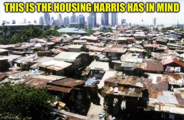 detroit slums | THIS IS THE HOUSING HARRIS HAS IN MIND | image tagged in detroit slums | made w/ Imgflip meme maker