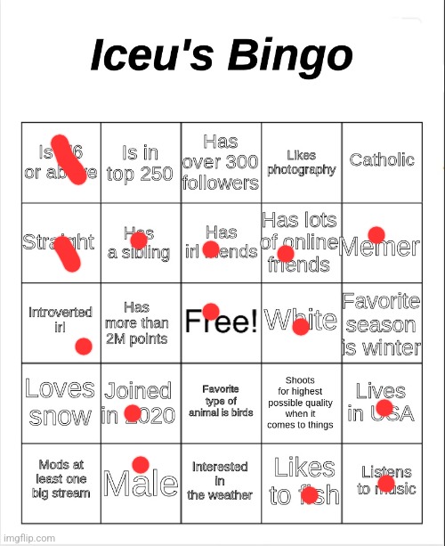 Iceu's Bingo | image tagged in iceu's bingo | made w/ Imgflip meme maker