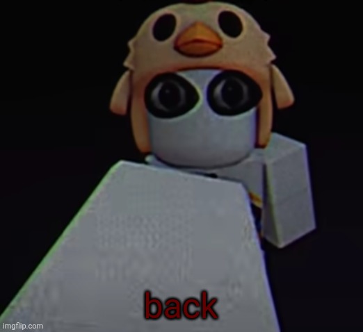 PMdamiann jumpscare | back | image tagged in pmdamiann jumpscare | made w/ Imgflip meme maker