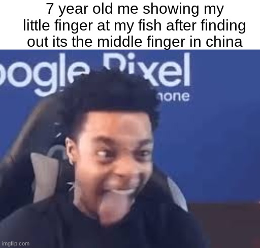 BAHAHAHAHAHBDSAYHBDSAVUIASV DFFEVesa | 7 year old me showing my little finger at my fish after finding out its the middle finger in china | image tagged in memes,fun | made w/ Imgflip meme maker