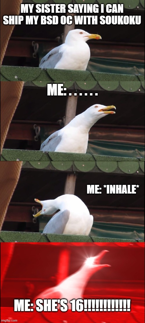 Inhaling Seagull Meme | MY SISTER SAYING I CAN SHIP MY BSD OC WITH SOUKOKU; ME: . . . . . . ME: *INHALE*; ME: SHE'S 16!!!!!!!!!!!! | image tagged in memes,inhaling seagull | made w/ Imgflip meme maker