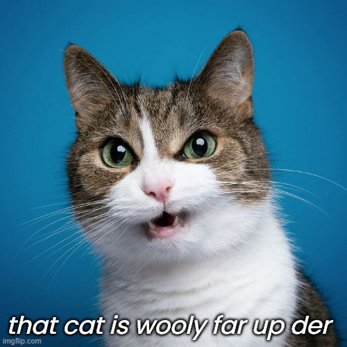 that cat is wooly far up der | made w/ Imgflip meme maker