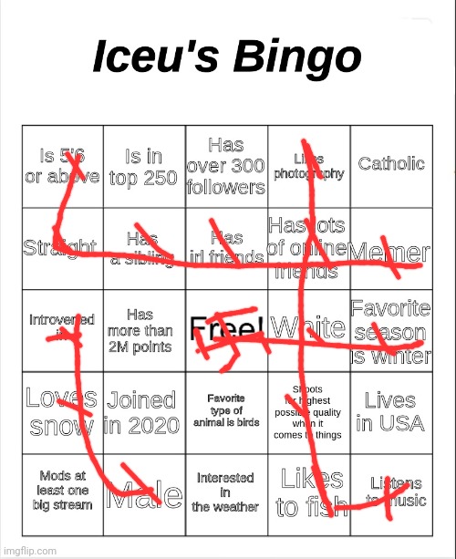 I thought it was "Likes pornography" I am disappointed | image tagged in iceu's bingo | made w/ Imgflip meme maker